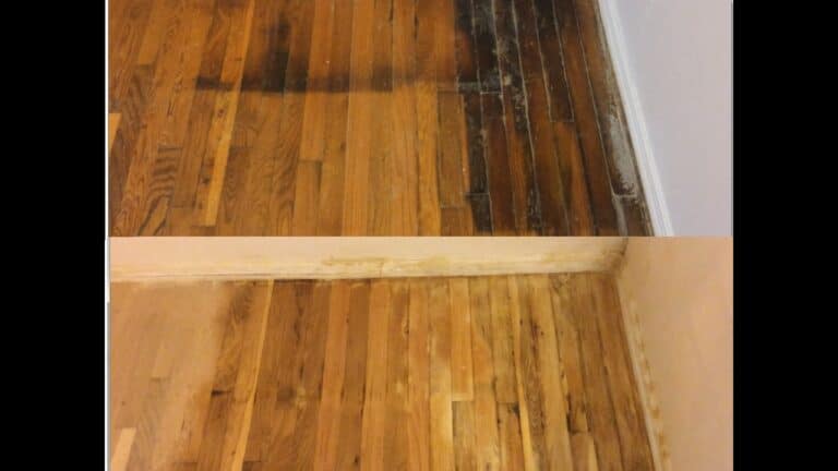How To Remove Black Urine Stains From Hardwood Floors Fast! 2