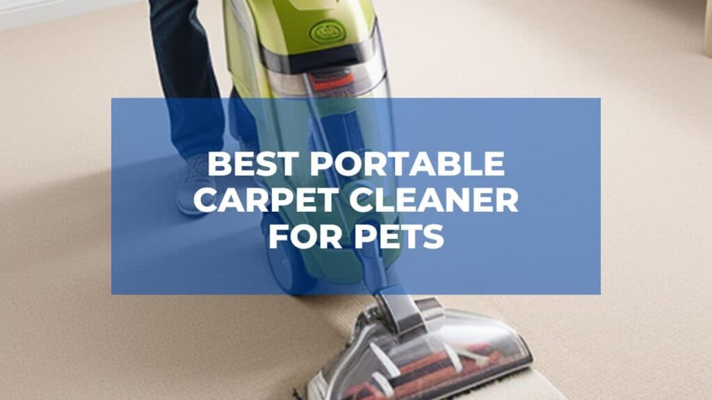 Best Portable Carpet Cleaner for Pets 3